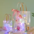 thumbnail image 5 of Gxrteck 12Pcs Gift Bags, Clear Holiday Bags with Handles for Birthdays or Any Occasion, 5 of 11