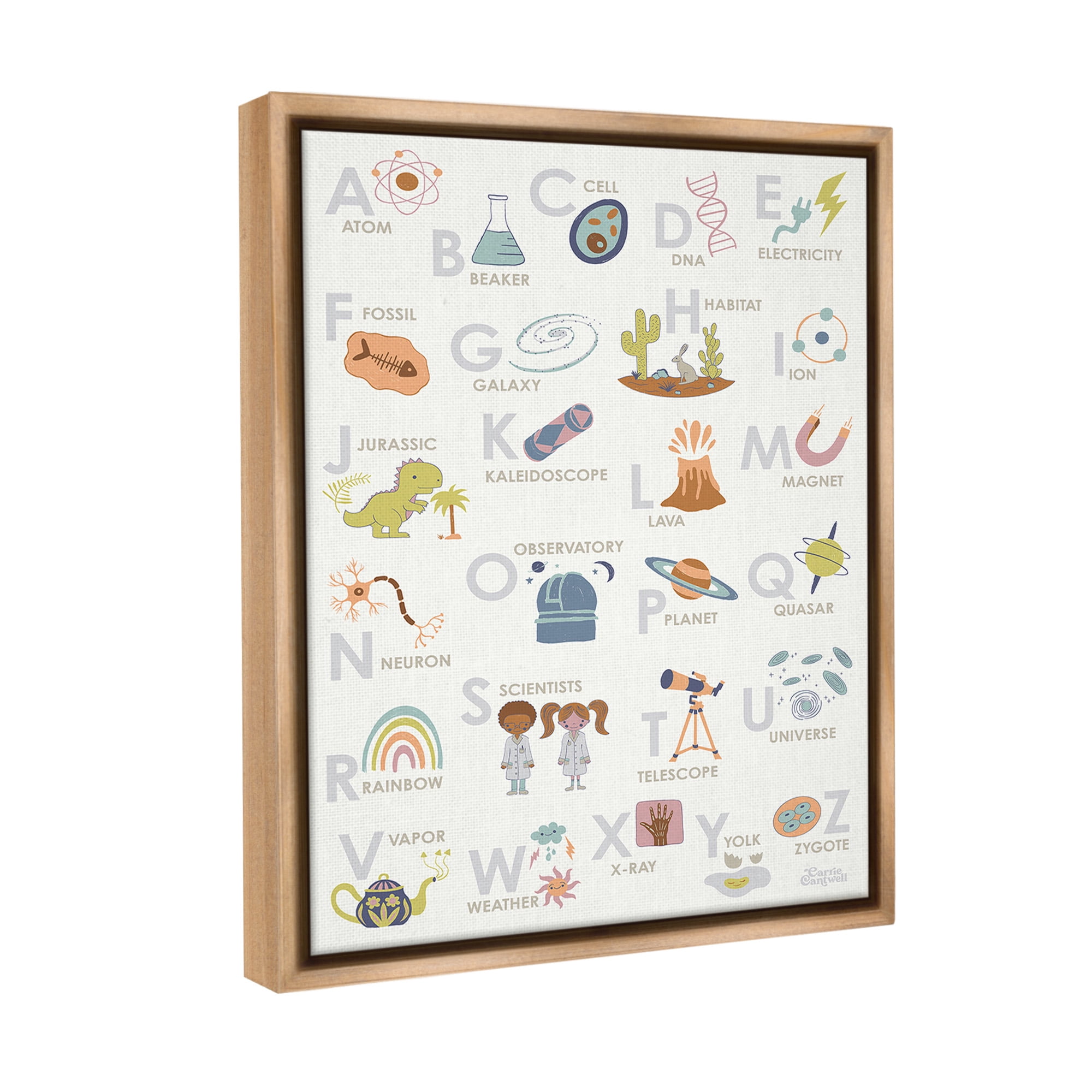 Stupell Industries Science Theme Alphabet Typography Painting Brown Floater Framed Canvas Art Print Wall Art, 25 x 31