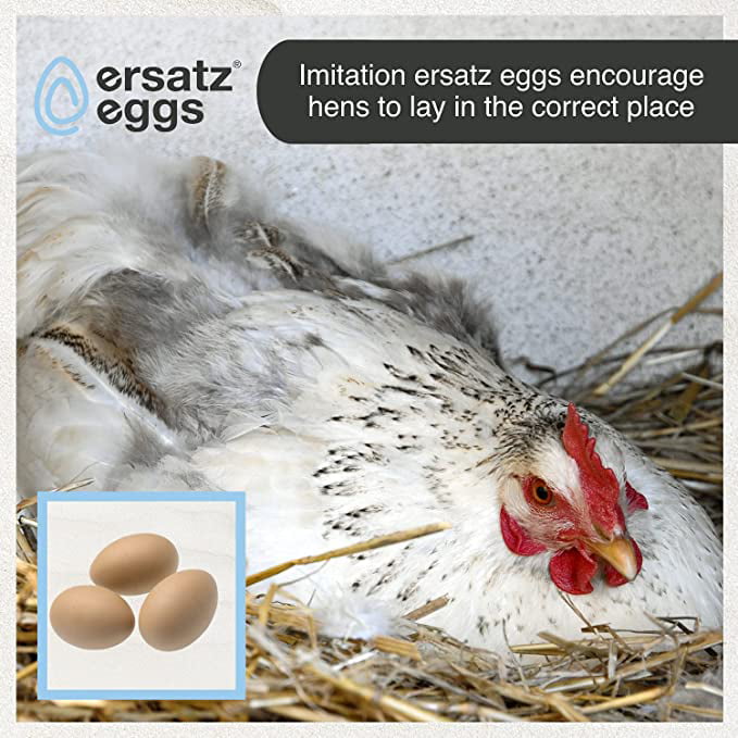 5* Fake Plastic Dummy Eggs Model Farm Chicken Nesting Hen Hatching Egg Kids Toys 