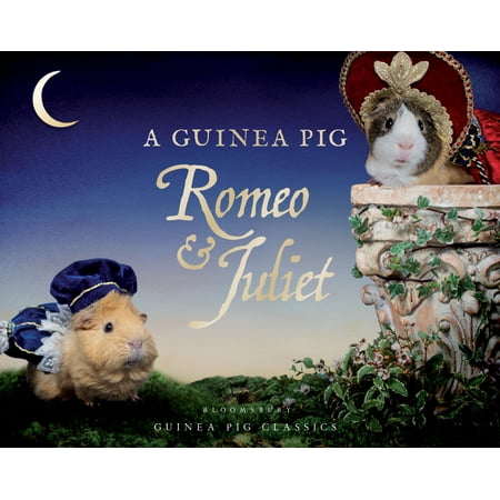 A Guinea Pig Romeo & Juliet (Best Guinea Pig Names)