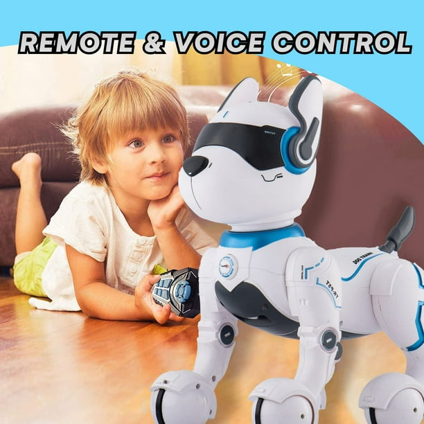 Robot télécommandé pour chien Robots pour enfants Robot