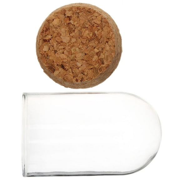 AURARMLET Round Glass Dome Display Covers Set for Home Decor, Protects Collectibles and Keeps Dust-Free