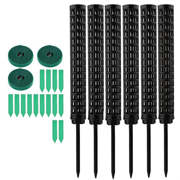 Planta Trellis Interior Enrejado Para Trepar Plantas Interio Planta Trellis Interior Enrejado Para Trepar Plantas Interio