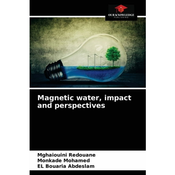 Magnetic water, impact and perspectives (Paperback)