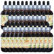 Tansy (Tanacetum Vulgare) Tincture, Organic Dried Leaves and Flowering tops Liquid Extract (Herbal Terra, USA) 30x2 oz