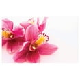 thumbnail image 4 of Dark Pink Ceramic Toothbrush Holder, Close up View of Detailed Flourishing Orchids Feminine Vibes, Decorative Versatile Countertop for Bathroom, 4.5" X 2.7", Hot Pink Orange, 4 of 4
