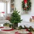 thumbnail image 5 of Table Top Christmas Tree,Small Christmas Tree Mini Christmas Tree, Artificial Christmas Tree Small Tree with Branches and Base, Green,Non-Lit,for Home Office Party Holiday Decor, 5 of 8