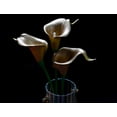 thumbnail image 5 of 20Pcs Artificial Calla Lily Flower Real Touch Latex Flowers for DIY Wedding Bouquet Party Home Decor (Pure White), 5 of 5