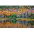 thumbnail image 2 of Gulin, Sylvia 32x23 White Modern Wood Framed Museum Art Print Titled - USA-New Hampshire-New England Fall colors reflected in the waters of the Saco River Crawford Notch, 2 of 4
