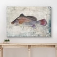 thumbnail image 3 of wall26 Framed Canvas Print Wall Art Freshwater Drum Fish on Granite Background Marine Life Animals Digital Art Realism Nautical Scenic Colorful Ultra for Living Room, Bedroom, Office - 12"x18&qu, 3 of 5