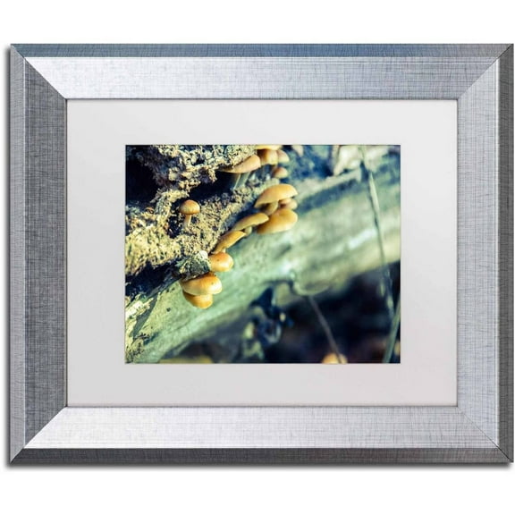 Trademark Fine Art 'Aged Mushroom' Canvas Art by PIPA Fine Art, White Matte, Silver Frame