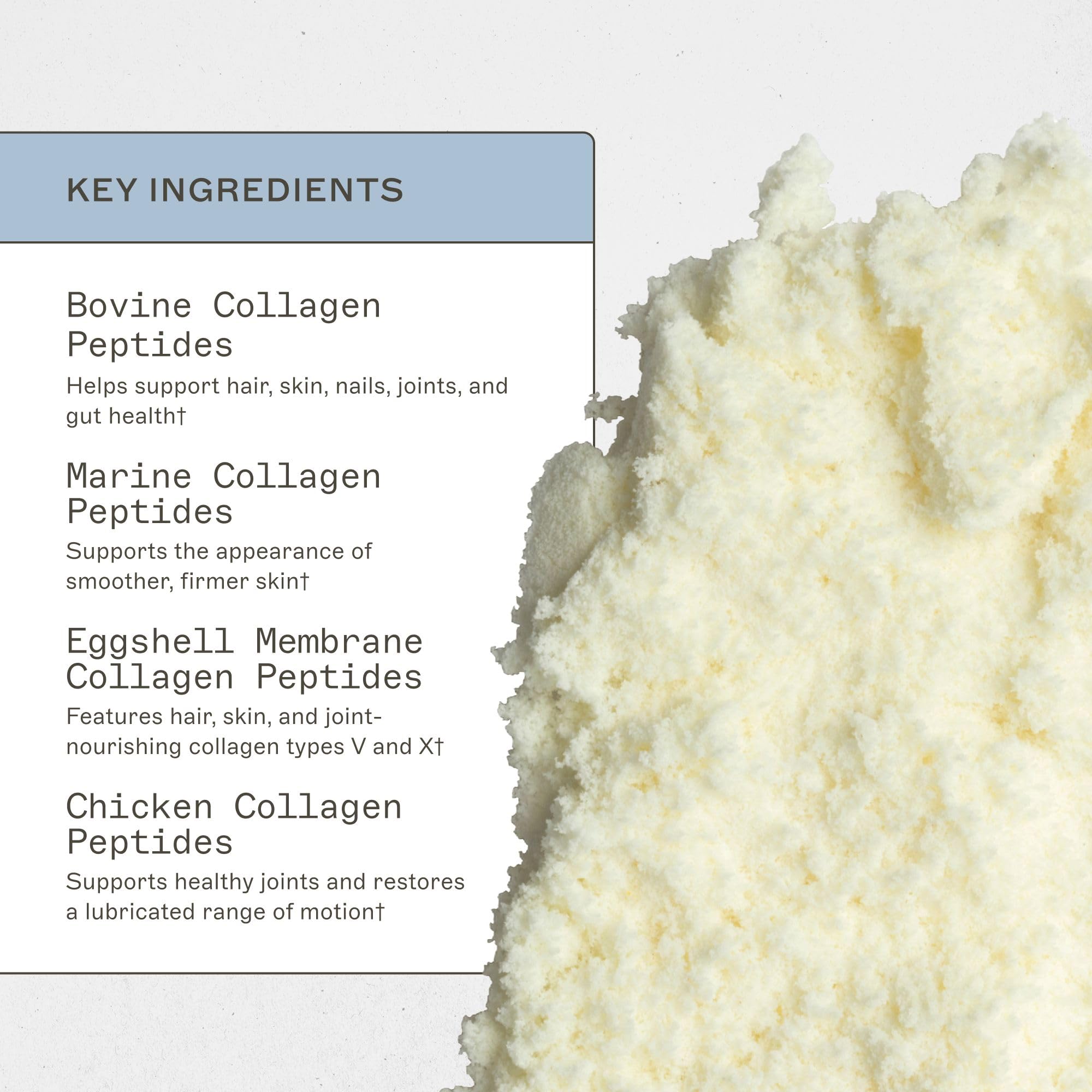 Amy Myers MD Spectrum 5 Collagen Peptides Powder - Daily Collagen Supplement for Healthy Hair, Skin & Nails - For Joint Support, Gut & Immune Health - 30 Servings