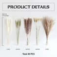 thumbnail image 3 of 80 Piezas, 45 cm Cola de Conejo Blanco Seca Natural Polvo de Trigo Planta de Hierba de Pampa Decoración Boho, 3 of 5