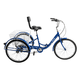 thumbnail image 1 of Triciclo para Adultos con Cesta Azul, 1 of 7