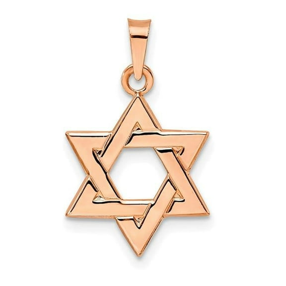 Finest Gold 14K Rose Gold Polished Solid Star of David Pendant