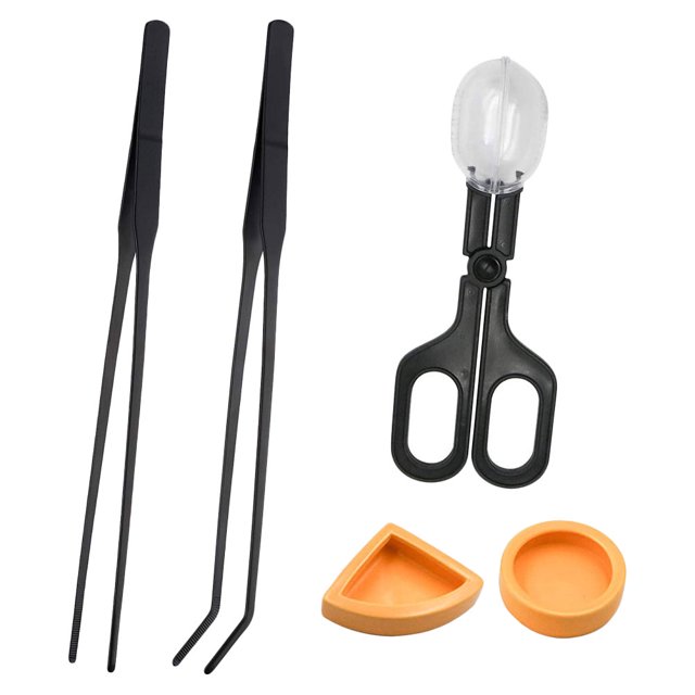 set of Reptile Feeding Bowl Water Food Feeder Feeding Tong Long Tweezers