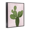 thumbnail image 2 of Stupell Industries Bohemian Prickly Pear over Pastel Pink Black Framed Giclee Art, 11 x 14, by Mia Jensen, 2 of 7