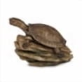 thumbnail image 4 of Aquascape Turtle on Log Spitter, 4 of 6
