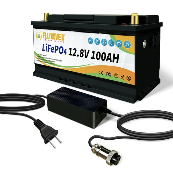 FLLYPOWER LiFePO4 Battery 12V 100Ah Lithium Batteries with 100A BMS, Deep Cycle Rechargeable Lithium Iron Phosphate Battery, for Solar, Marine, Trolling Motor
