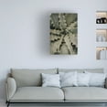 thumbnail image 2 of Trademark Fine Art Pictufy Studio III Aloe 2 Canvas Wall Art, 2 of 4