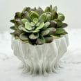 thumbnail image 4 of Clever Contraption Small Legs Succulent and Cactus Planter Pot – 3D Printed, 4 of 7