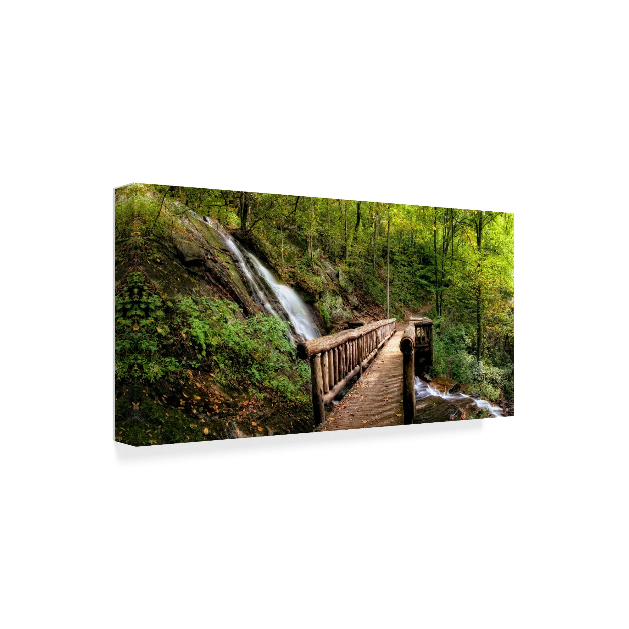 Trademark Fine Art 'Falls Panorama' Canvas Art by Danny Head
