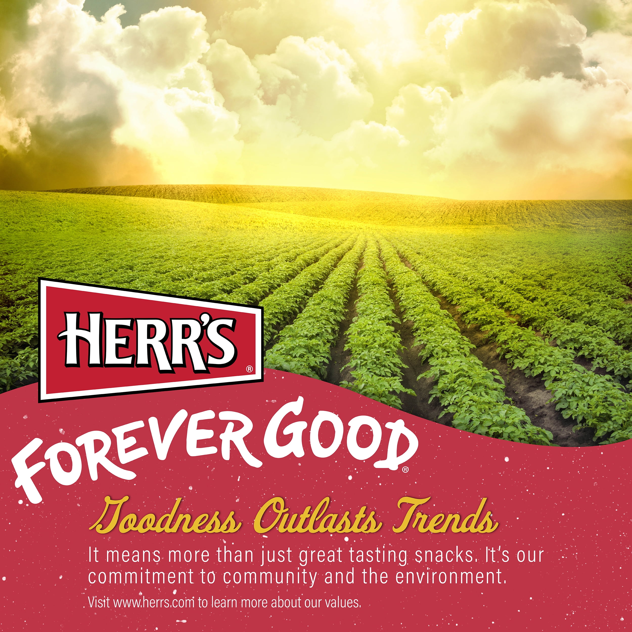 (3 pack) Herr's Lightly Salted Potato Chips 8oz