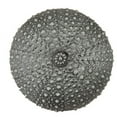 thumbnail image 3 of Acorn Manufacturing DP7AP Artisan Collection Sea Urchin Knob, Antique Brass, 3 of 3