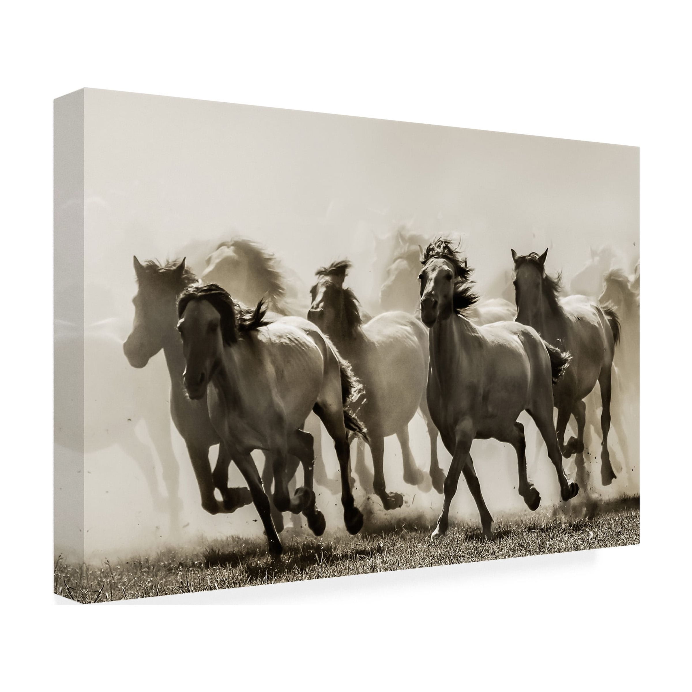 Heidi Bartsch 'Horse' Canvas Art