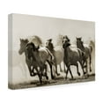 thumbnail image 4 of Heidi Bartsch 'Horse' Canvas Art, 4 of 4