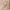 Cafe Au Lait, variant on No Boundaries Jacquard Cardigan Sweater, Midweight, Women's
