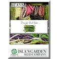 thumbnail image 3 of Provider Bush Green Bean Seeds for Planting, 30+ Heirloom Seeds Per Packet, (Isla's Garden Seeds), Non GMO Seeds, Botanical Name: Phaseolus vu aris, Great Home Garden Gift, 3 of 8