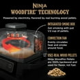 thumbnail image 3 of Ninja Woodfire 7-in-1 Outdoor Grill, Master Grill, BBQ Smoker, & Outdoor Airfryer with Woodfire Technology, OG701, 3 of 17