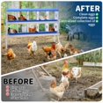 thumbnail image 6 of Metal Chicken Nesting Box for Laying Eggs – 6/8/10 Hole Roll Away Nest Box for Hens, Wall Mounted Chicken Coop Accessory with Ventilation Holes – Durable Poultry Supplies, 6 of 7