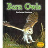 Barn Owls: Nocturnal Hunters