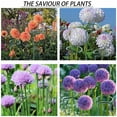 thumbnail image 2 of Deago 12 Pack 15.7 inch Plant Support Stakes Garden Single Stem Plant Stakes Flower Support Rings for Amaryllis Orchid Lily Rose Tomatoes, Green, 2 of 9