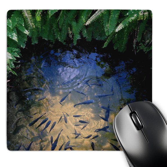 3dRose, Photograph of black koi fish in a pond at the Butterfly Farm in Aruba., MousePad