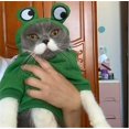 thumbnail image 5 of Pet Drawstring Hoodie Sweatshirt Dog Cosplay Winter Warm Clothing (Frog, XL), 5 of 5