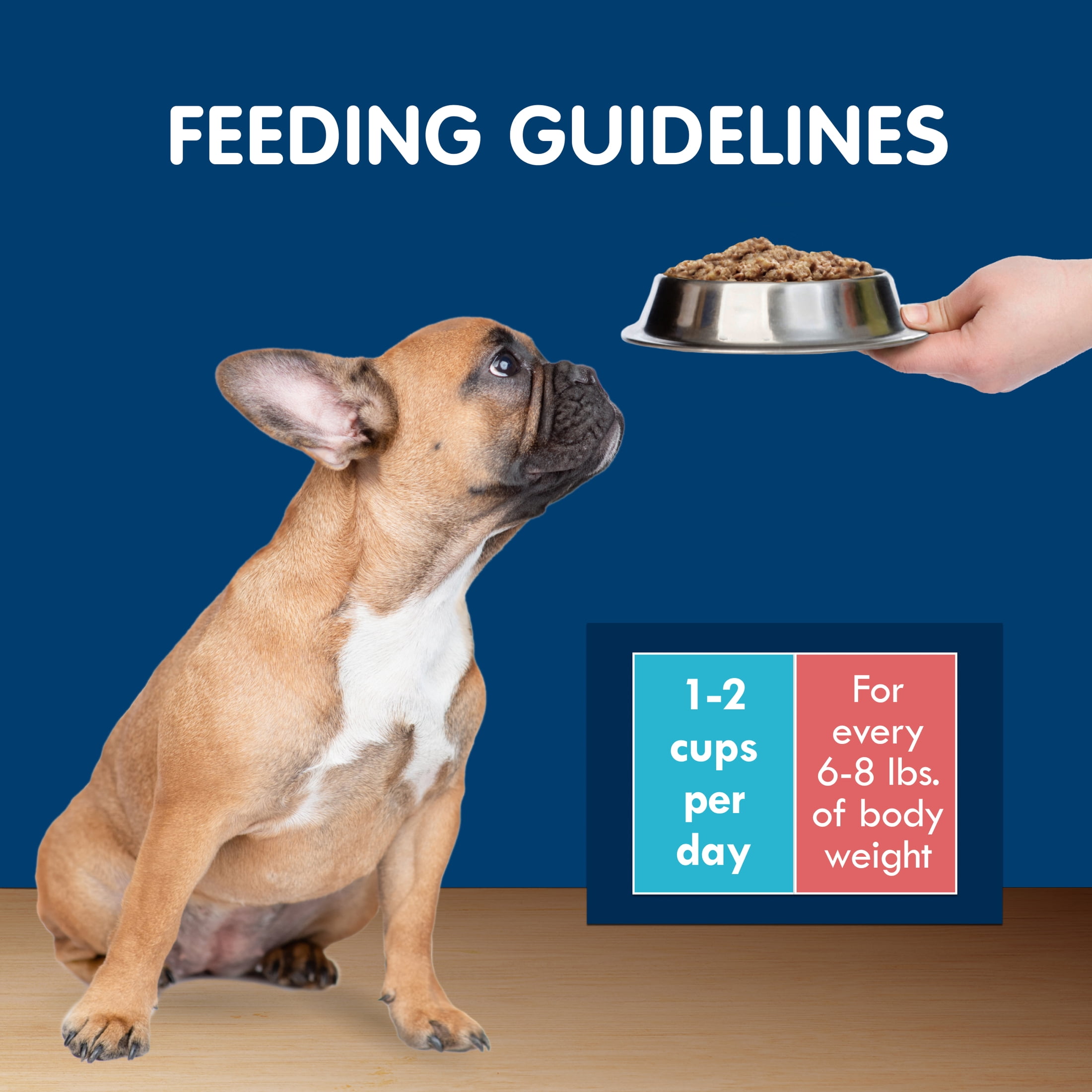 Blue Buffalo Delights Natural Adult Small Breed Wet Dog Food Cups, Pate Style, Chicken, Prime Rib and NY Strip 3.5-oz (24 Pack- 8 of Each Flavor)