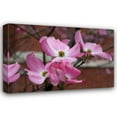 thumbnail image 1 of Erin Berzel 32x23 Gallery Wrapped Canvas Wall Art Titled - Dogwood Blossoms I, 1 of 4