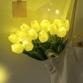 thumbnail image 4 of Charming And Shaped Lighting Fixtures Featuring 15 Non Fading Flashing LED Lights Suitable For Bedroom Bedside Decoration., 4 of 7