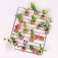 thumbnail image 3 of Labymos 16pcs Mini Artificial Succulent Plants Magnetics Refrigerator Magnets Tiny Fake Succulents Pot Sets for, 3 of 8