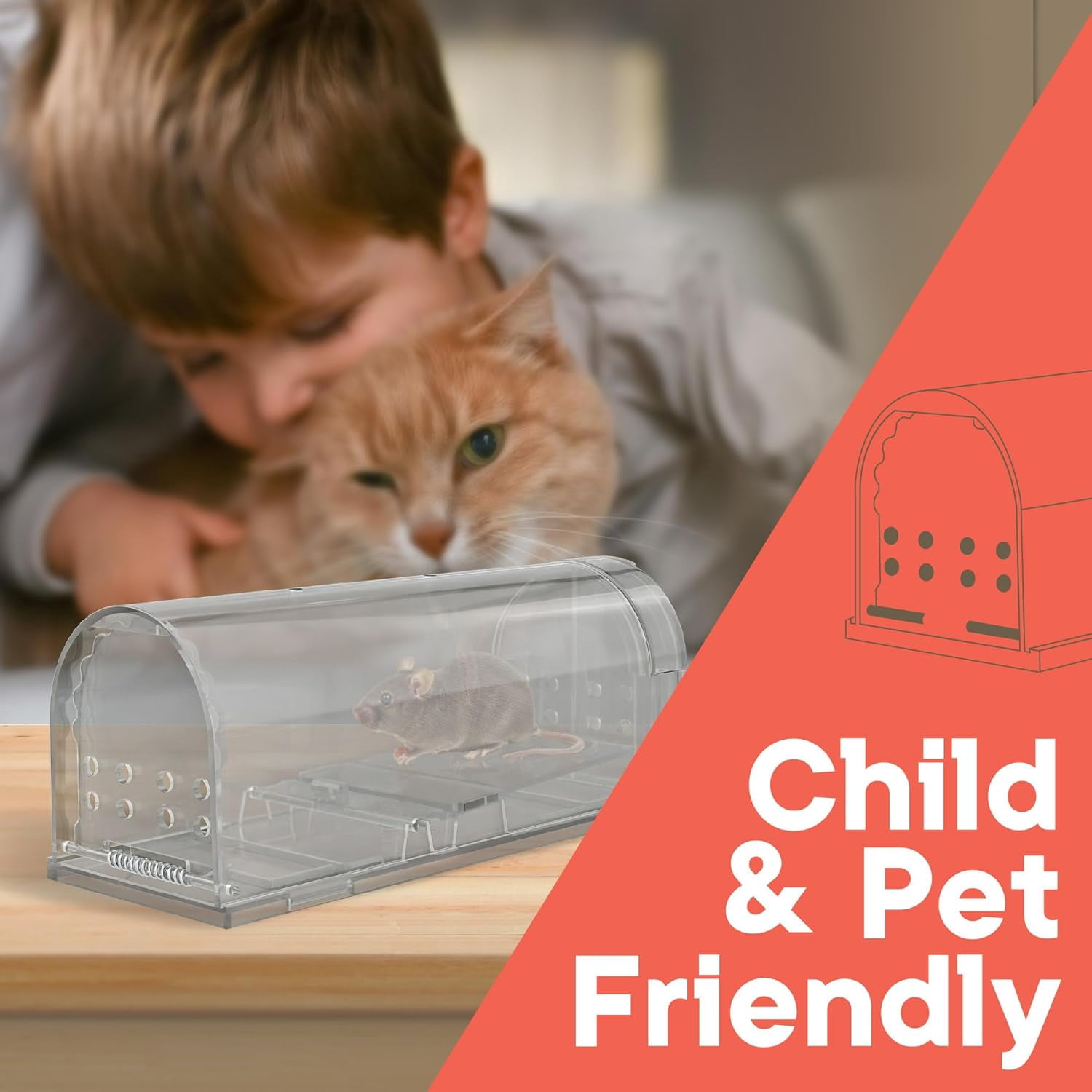 Campior Humane Mouse Trap Pack of 6, Live Catch & Release, Indoor/Outdoor, Pet & Child Safe, Reusable Plastic Cage, Gray