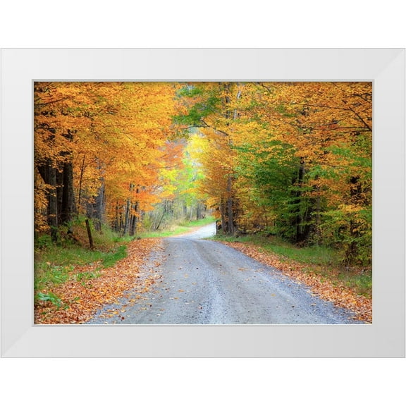 Gulin, Sylvia 14x11 White Modern Wood Framed Museum Art Print Titled - USA-New England-Vermont tree-lined roadway in Autumns Fall colors