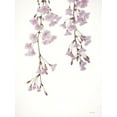 thumbnail image 2 of Deiter, Lori 15x18 White Modern Wood Framed Museum Art Print Titled - Weeping Cherry on White II, 2 of 4