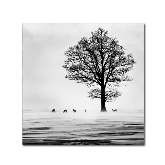 Dansiga 'Roes' Canvas Art