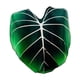 thumbnail image 5 of Manta de franela Macarena manta envolvente 150cmx200cm, 5 of 8