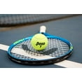 Penn Championship Tennis Balls Extra Duty Felt for Hard Court 24