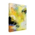 thumbnail image 2 of Beau Wild 'Radiance' Canvas Art, 2 of 3