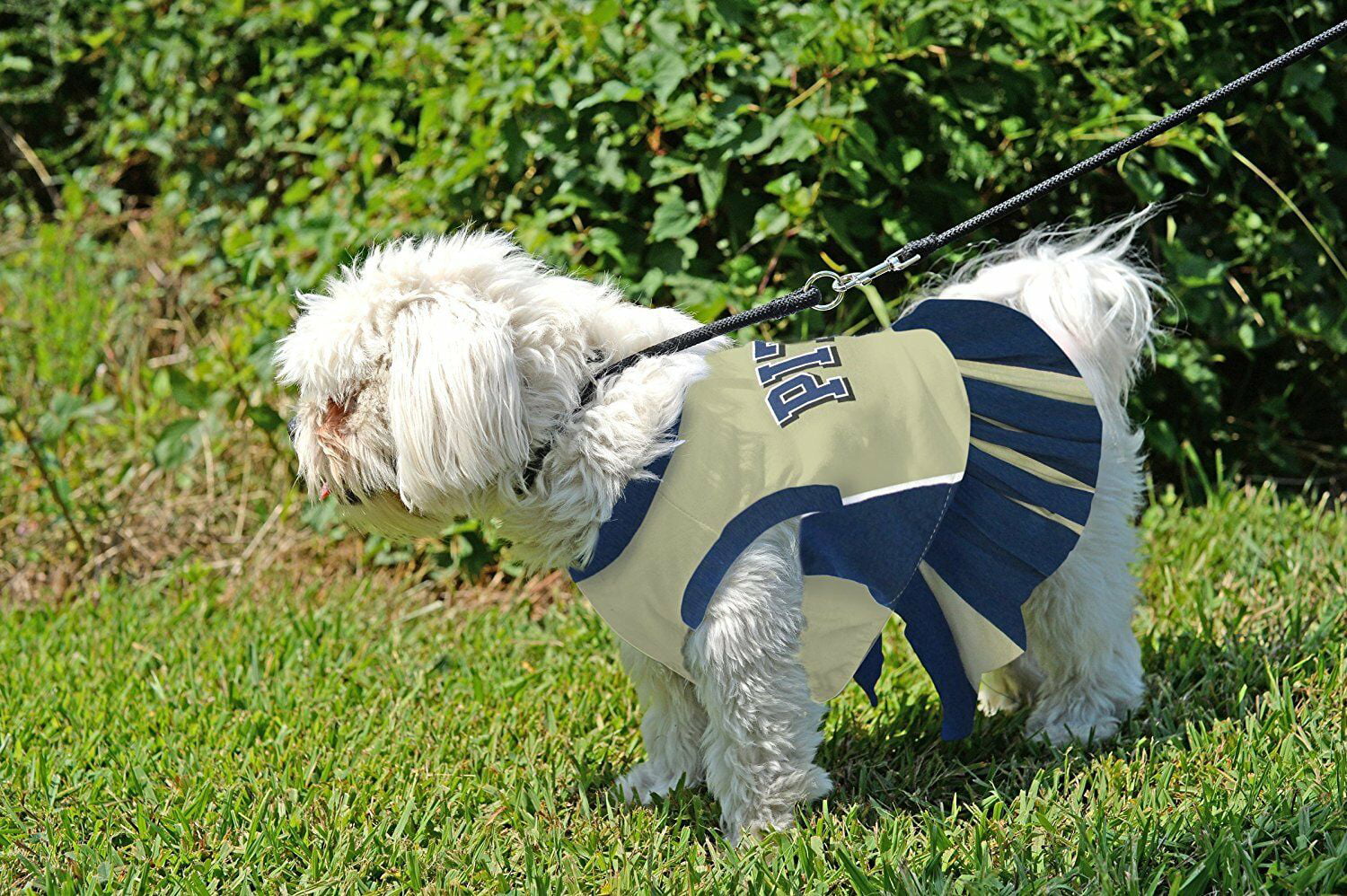 NCAA Pittsburgh Panthers Cheerleader Dog Dress 